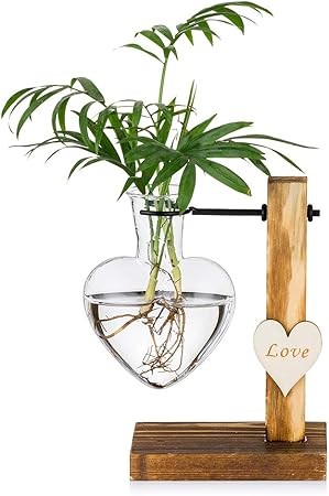 Glass Bud Vase with Wooden Stand, Creative Single Heart Glass Hydroponic Vases, Modern Plant Propagation Station Desktop Planter Bulb Vase for Home Garden Office Decoration